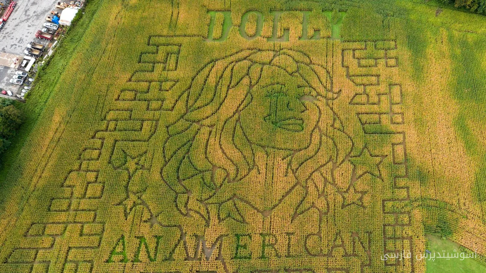 Opening of Corn Mazes in Honor of Dolly Parton in the U.S. and Canada