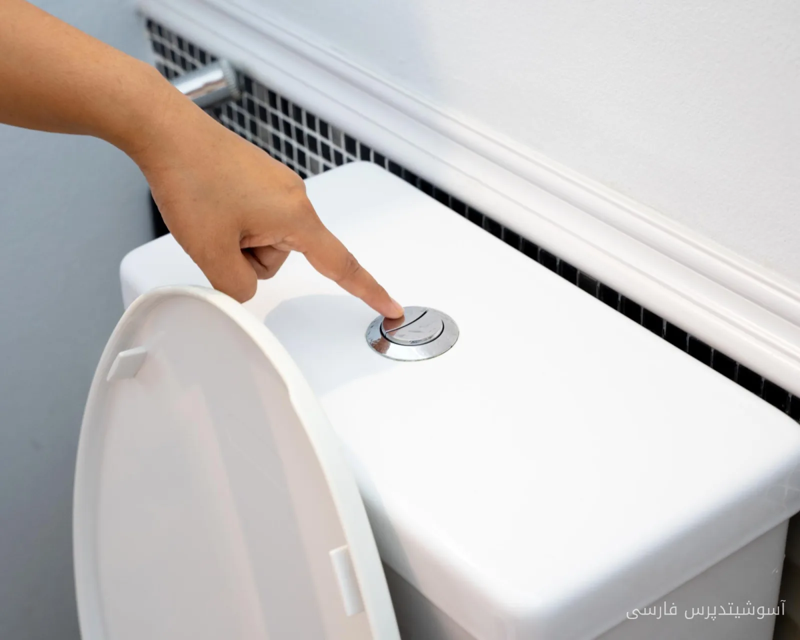 آیا flushing توالت‌تان شما را بیمار می‌کند؟!