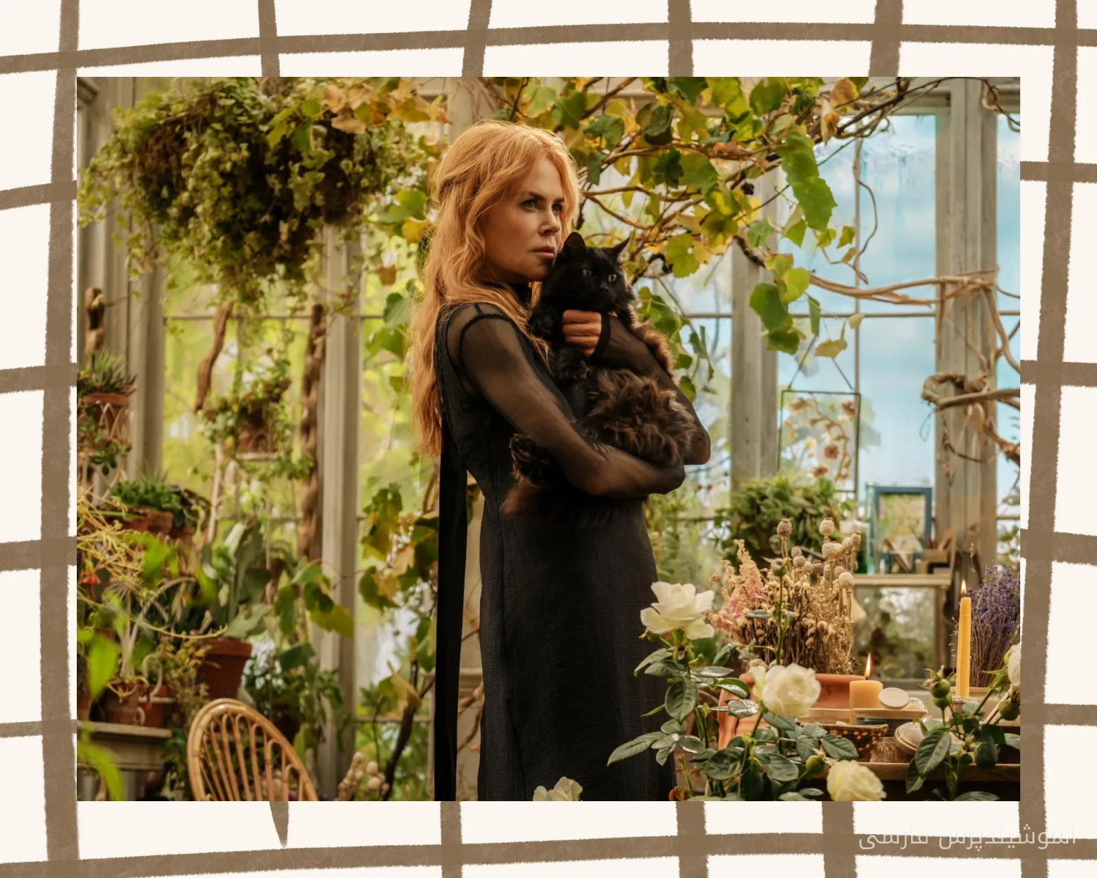 جذابیت دوباره: ساندرا بولاک و نیکول کیدمن در Practical Magic 2
