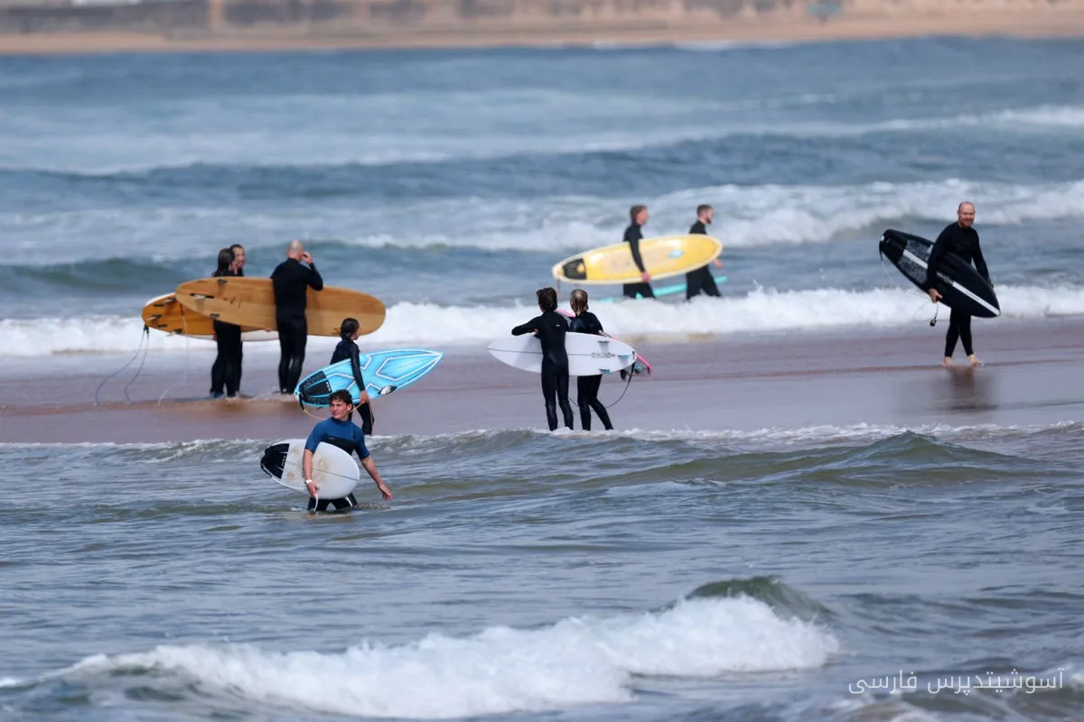 Man Injured in Shark Attack on Australian Shores