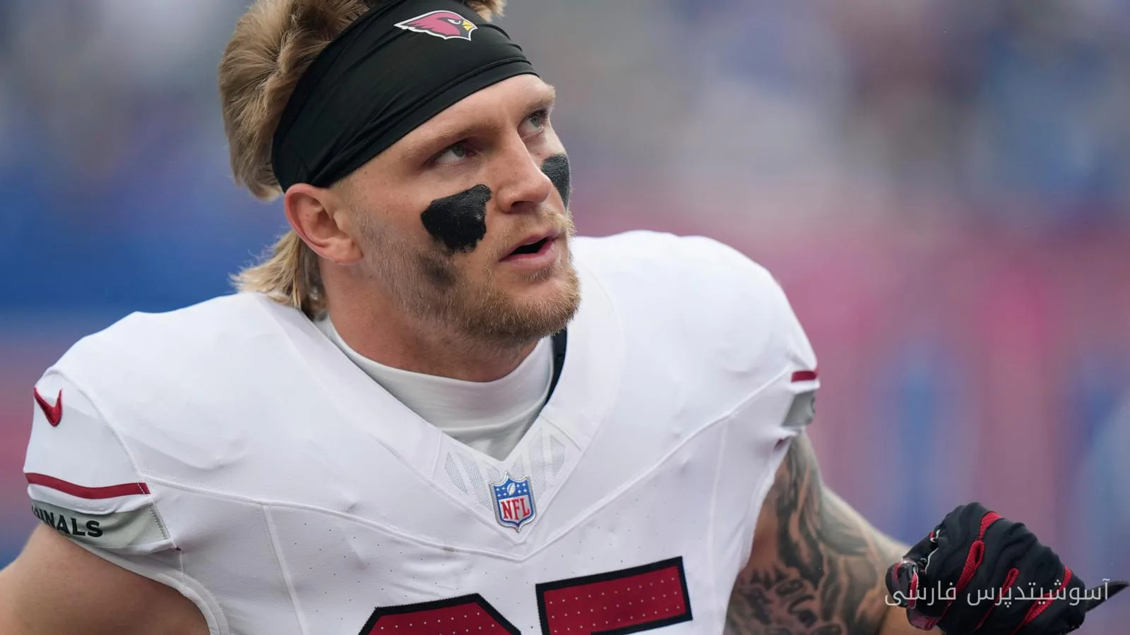 NFL دو داور را به دلیل رفتار نامناسب تعلیق کرد